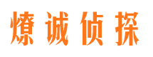 岚县市场调查